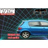 PEUGEOT 307 - daszek na tylną klapę / roof spoiler TC-P307-RS-01